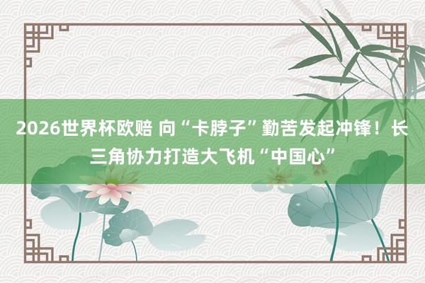2026世界杯欧赔 向“卡脖子”勤苦发起冲锋！长三角协力打造大飞机“中国心”