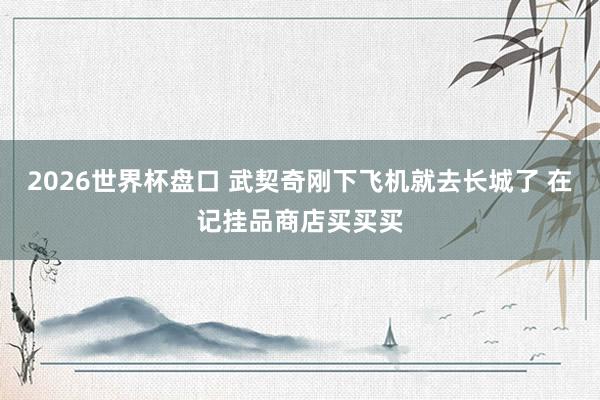 2026世界杯盘口 武契奇刚下飞机就去长城了 在记挂品商店买买买