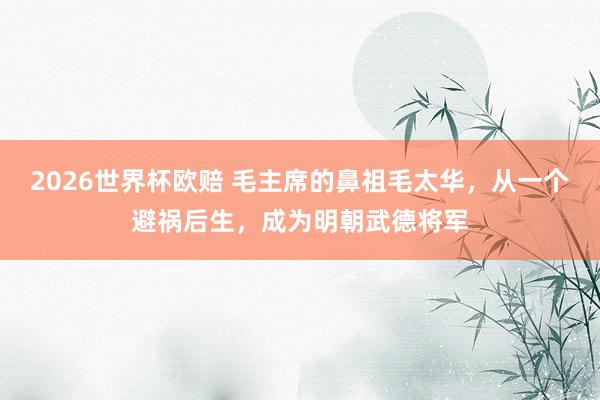 2026世界杯欧赔 毛主席的鼻祖毛太华，从一个避祸后生，成为明朝武德将军