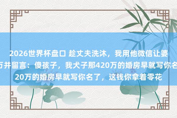 2026世界杯盘口 趁丈夫洗沐，我用他微信让婆婆转八千，她秒转8万并留言：傻孩子，我犬子那420万的婚房早就写你名了，这钱你拿着零花