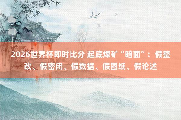2026世界杯即时比分 起底煤矿“暗面”：假整改、假密闭、假数据、假图纸、假论述