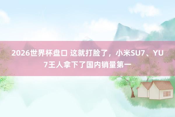 2026世界杯盘口 这就打脸了，小米SU7、YU7王人拿下了国内销量第一