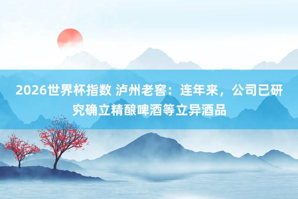 2026世界杯指数 泸州老窖：连年来，公司已研究确立精酿啤酒等立异酒品