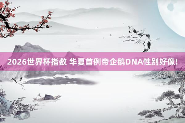 2026世界杯指数 华夏首例帝企鹅DNA性别好像!