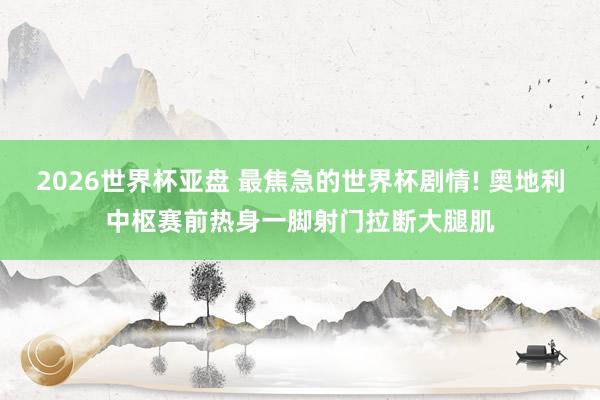 2026世界杯亚盘 最焦急的世界杯剧情! 奥地利中枢赛前热身一脚射门拉断大腿肌