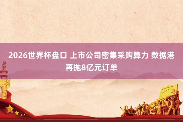 2026世界杯盘口 上市公司密集采购算力 数据港再抛8亿元订单