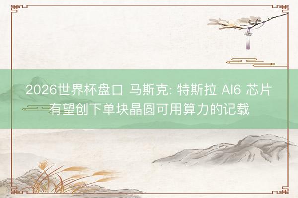 2026世界杯盘口 马斯克: 特斯拉 AI6 芯片有望创下单块晶圆可用算力的记载
