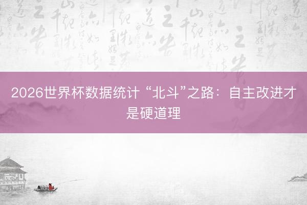 2026世界杯数据统计 “北斗”之路：自主改进才是硬道理